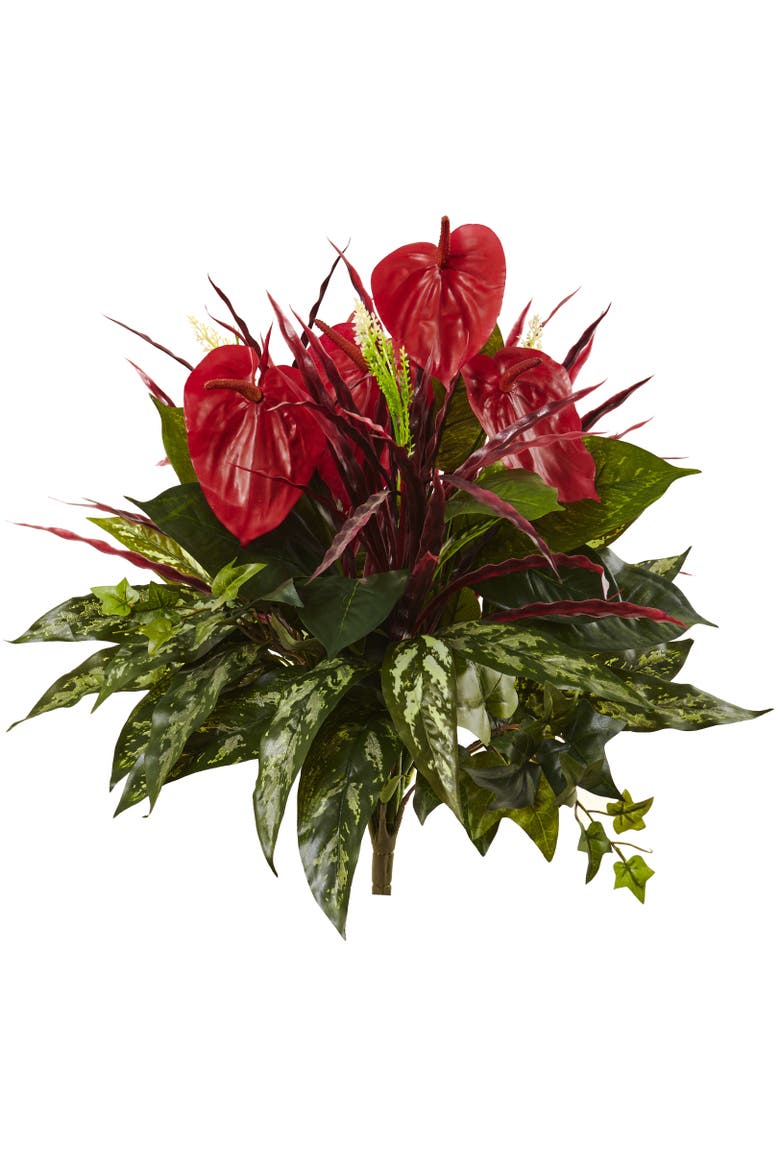 24-in Mixed Anthurium Bush, Main, color, Red/Green