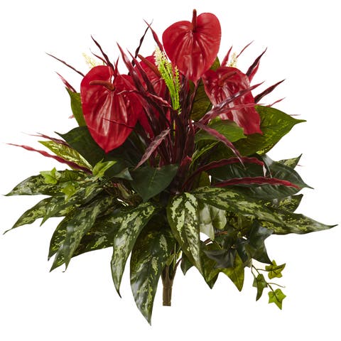 24-in Mixed Anthurium Bush (Set of 2)