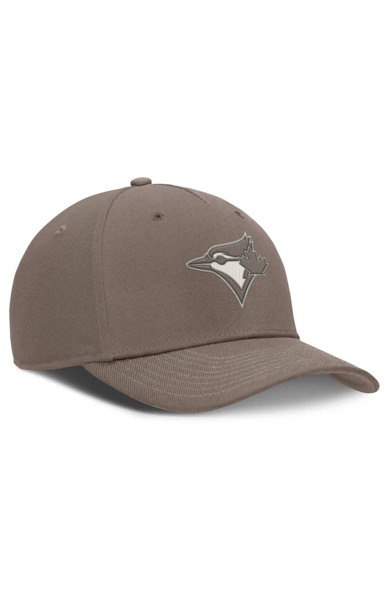 Nike Men's Nike Brown Toronto Blue Jays Rise Performance Adjustable Hat, Alternate, color, 