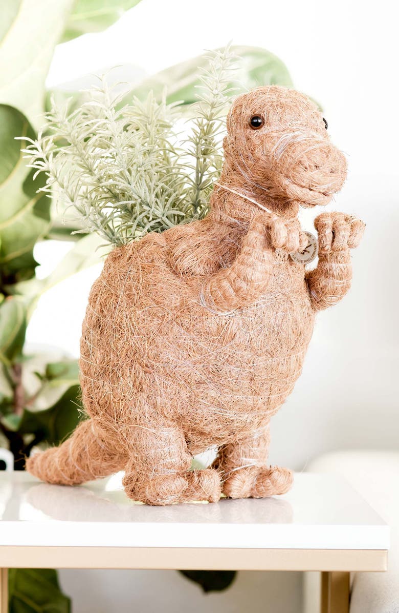 LIKHA Dinosaur Coco Coir Planters, Alternate, color, Brown