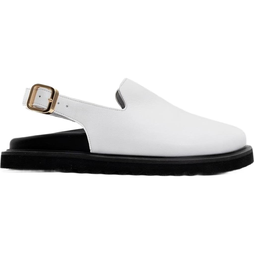 Forever & Always Shoes Laby Leather Clogs In White Leather