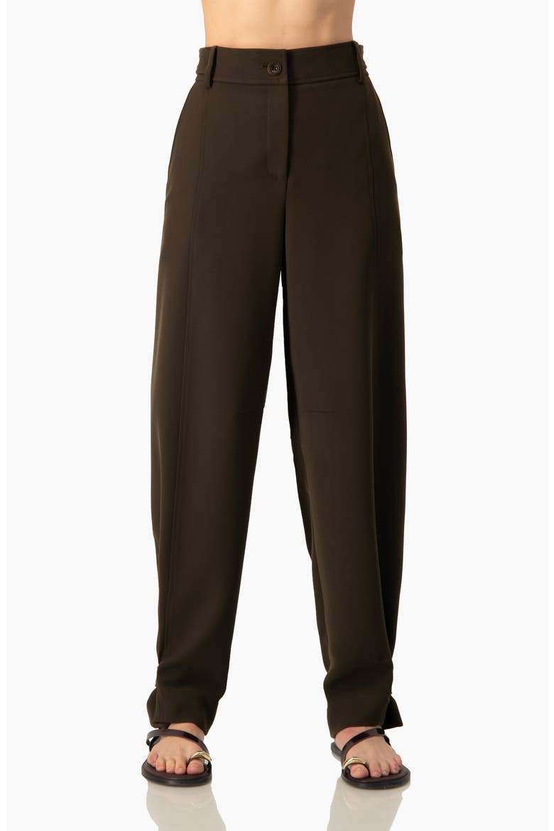 Tapered Cuff Utility Relaxed Pants with High-Waist and Ankle Straps, Main, color, Brown