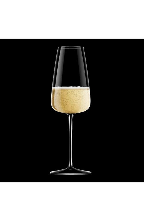 Luigi Bormioli Talismano Set Of 4 Prosecco Glasses In Transparent