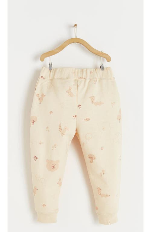 Babycottons Tree Printed Jogger In Multicolor