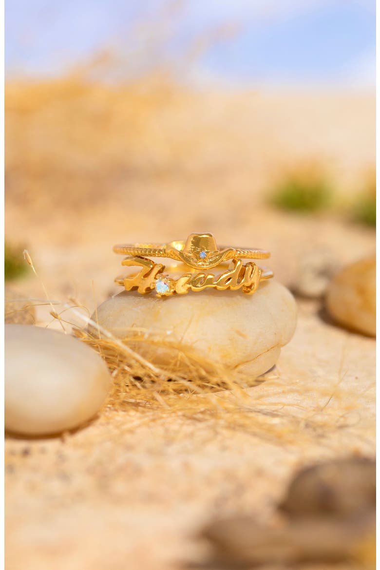 Howdy Partner Set of 2 Rings, Alternate, color, GOLD