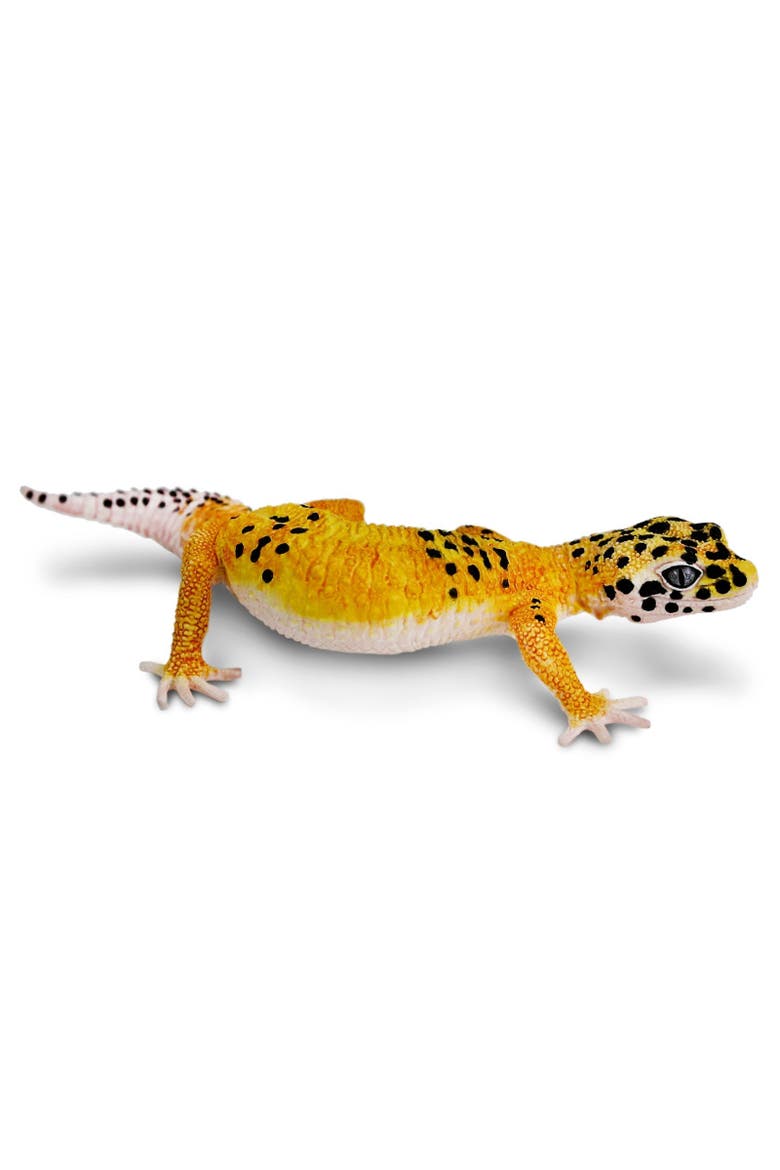 Leopard Gecko Toy, Main, color, No Color