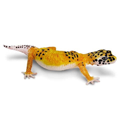 Leopard Gecko Toy