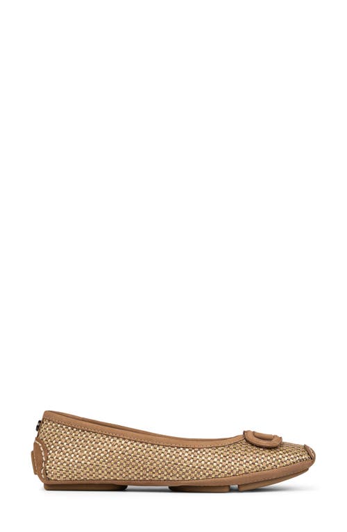 DONALD PLINER DONALD PLINER REANNA DRIVING SHOE 