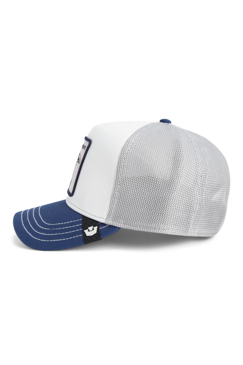 Tricolor Raven Patch Trucker Hat, Alternate, color, MULTI COLOR