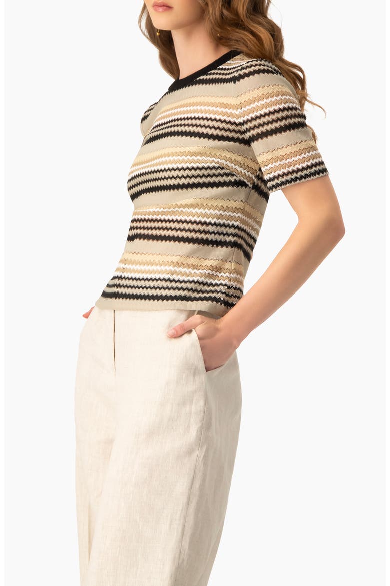 Chevron Stripe Crochet Knit Top, Short Sleeve Textured Crew Neck, Alternate, color, Beige