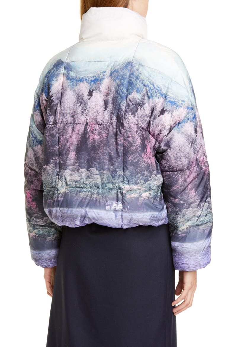 Brietta Graphic Puffer Jacket, Alternate, color, WONDERLAND