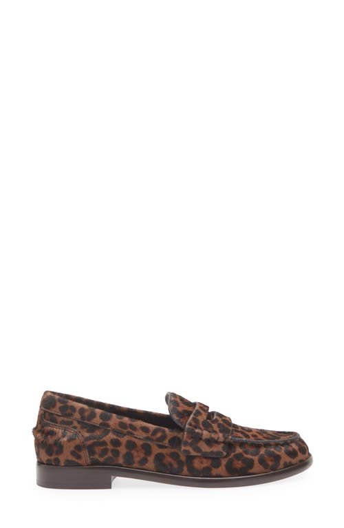 Rag & Bone Carter Genuine Calf Hair Penny Loafer In Brown