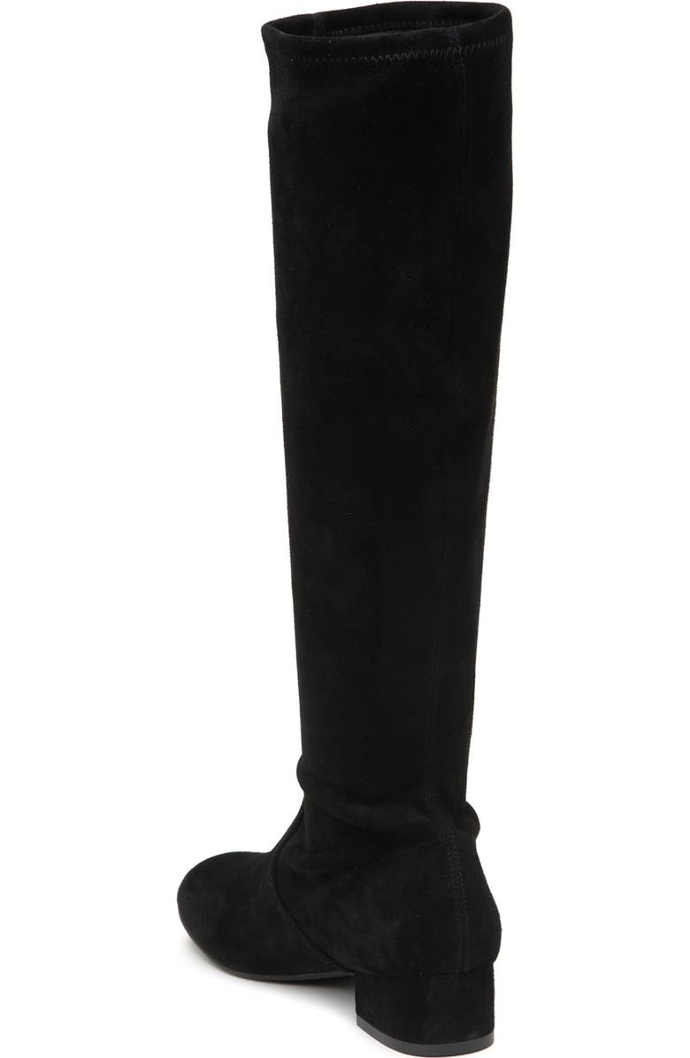 Stuart Weitzman Raissa Suede Tall Boot, Alternate, color,