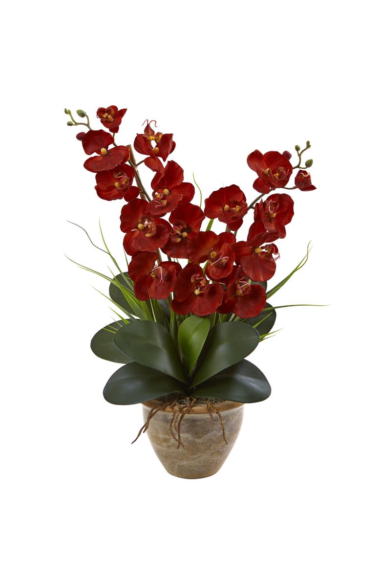 NEARLY NATURAL Double Phalaenopsis Harvest Artificial Orchid Arrangement in Ceramic Vase, Main, color, Autumn