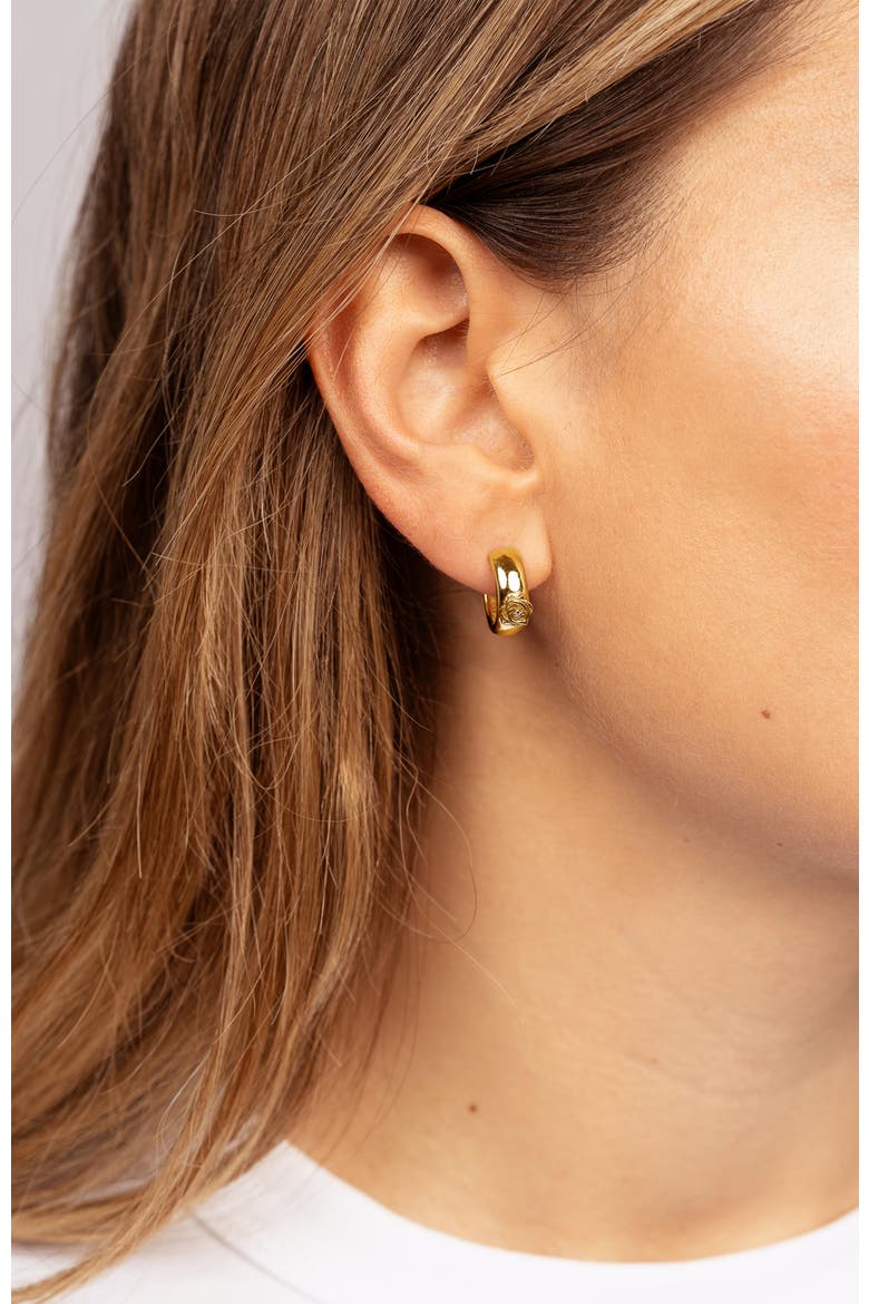Rosie Diamond Hoops | 2 natural diamonds | 925 Sterling Silver | Earrings | Hoop | Yellow 18k-Gold Plated, Alternate, color, Rosie
