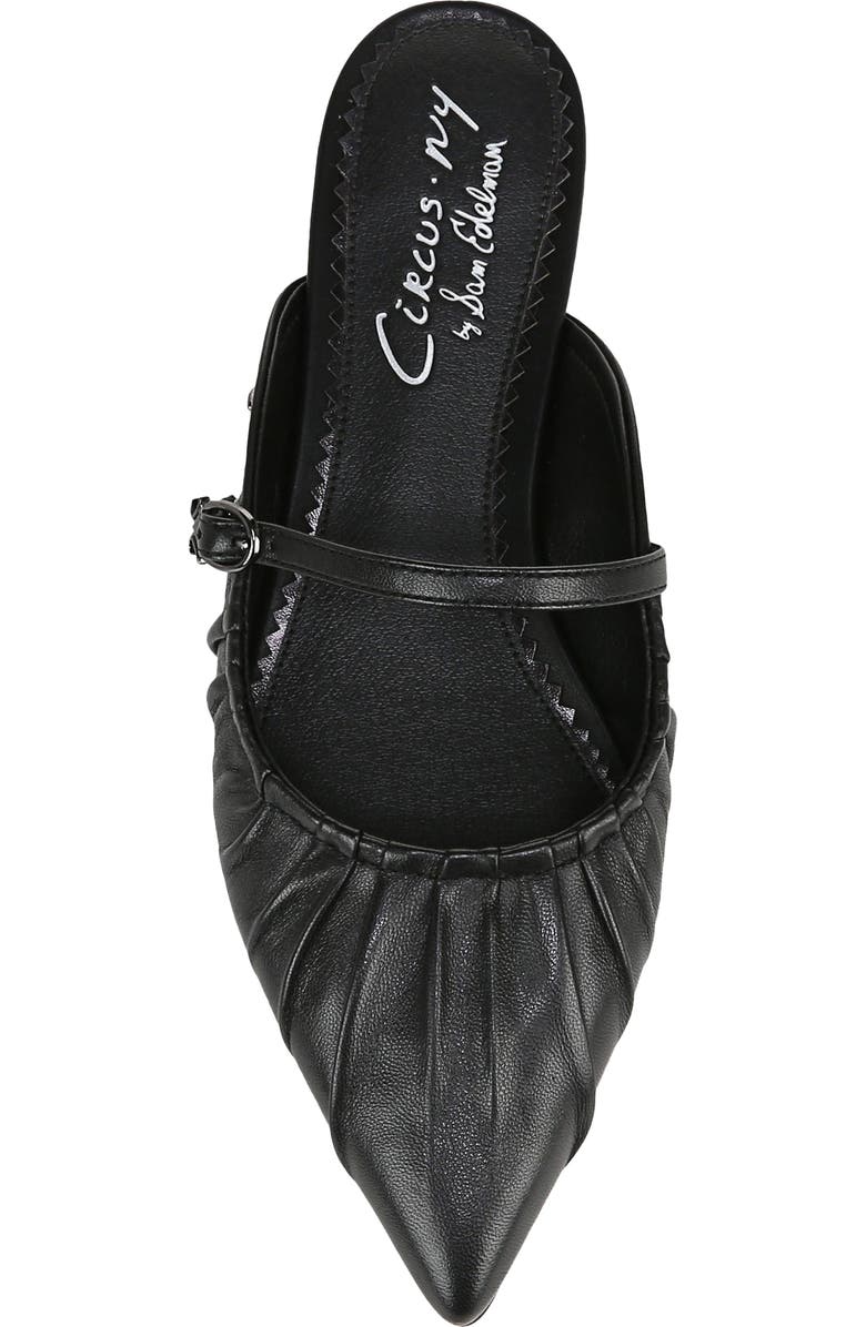 Circus NY by Sam Edelman Larissah Pointed Toe Mule, Alternate, color,