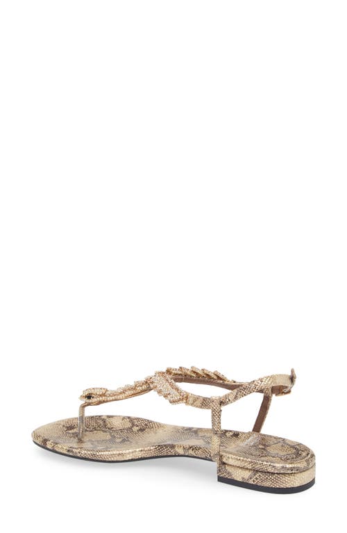 Jeffrey Campbell Kaa Snake Sandal In Multi