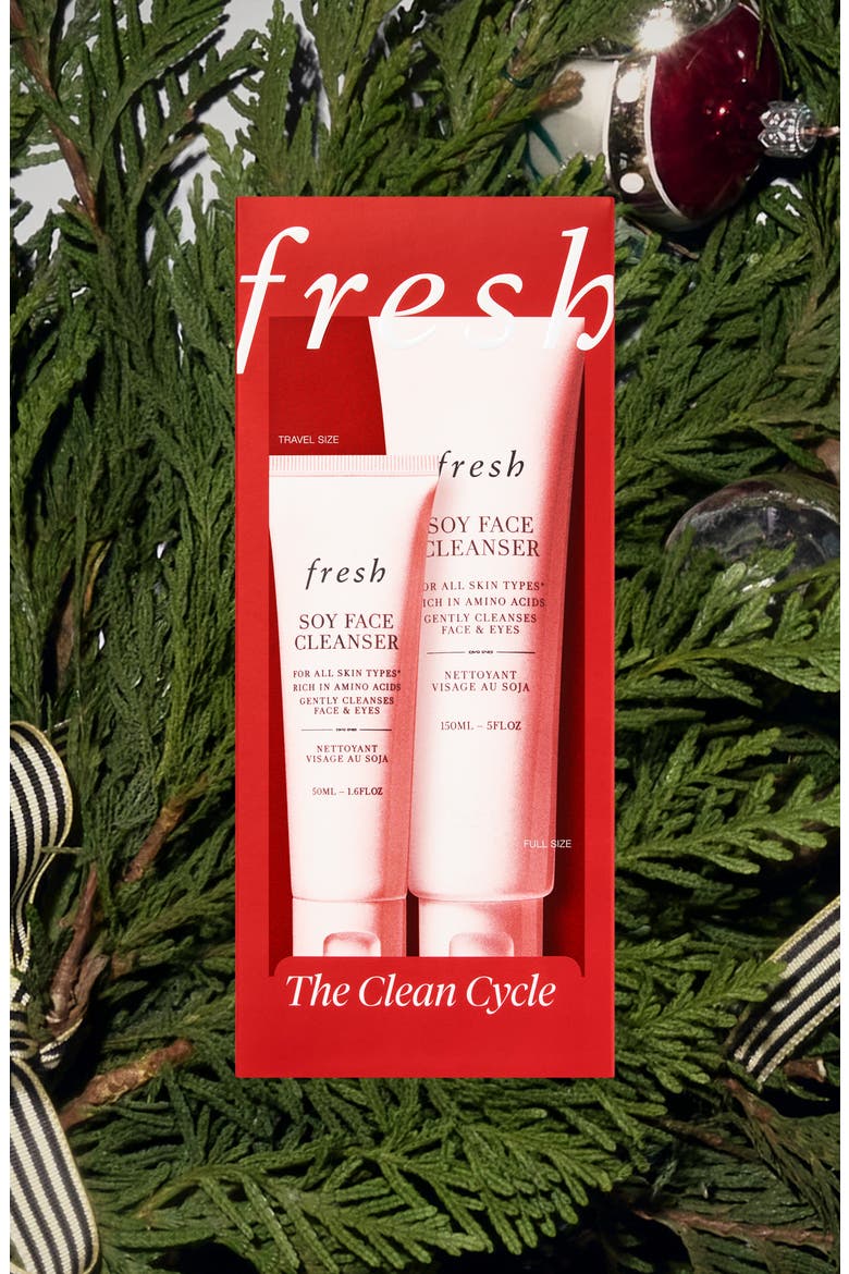 The Clean Cycle Soy Face Cleanser Set, Alternate, color, NO COLOR