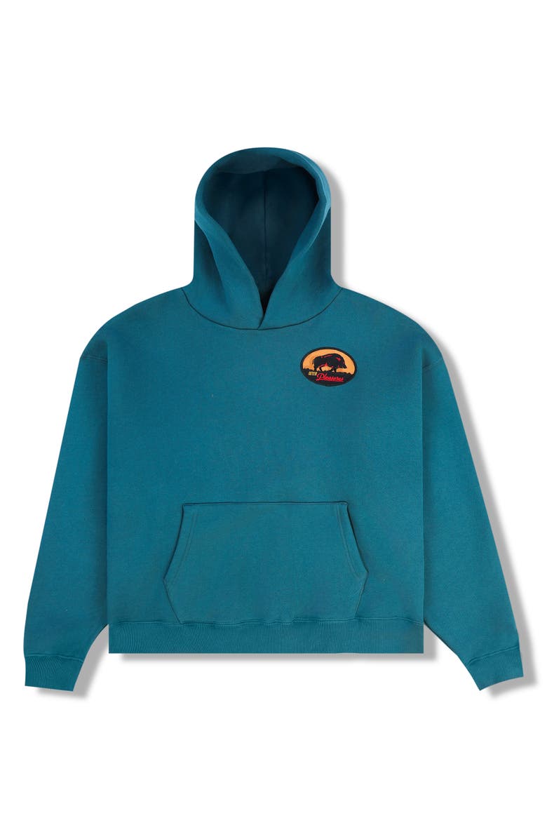 PLEASURES x Iuter Vincenzo Hoodie, Alternate, color, 