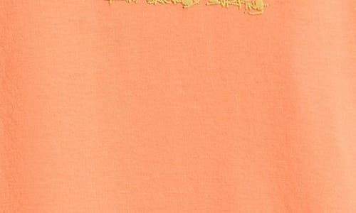 Rip Curl Kids' Raw Energy Dolphin Cotton Graphic Logo T-shirt In Mandarin Zest