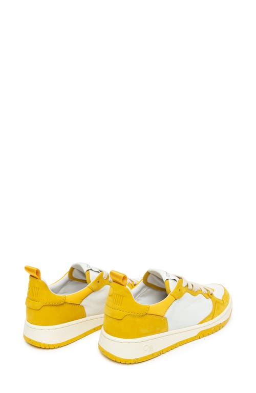 Oncept Phoenix Leather Lace-up Sneaker In Multi