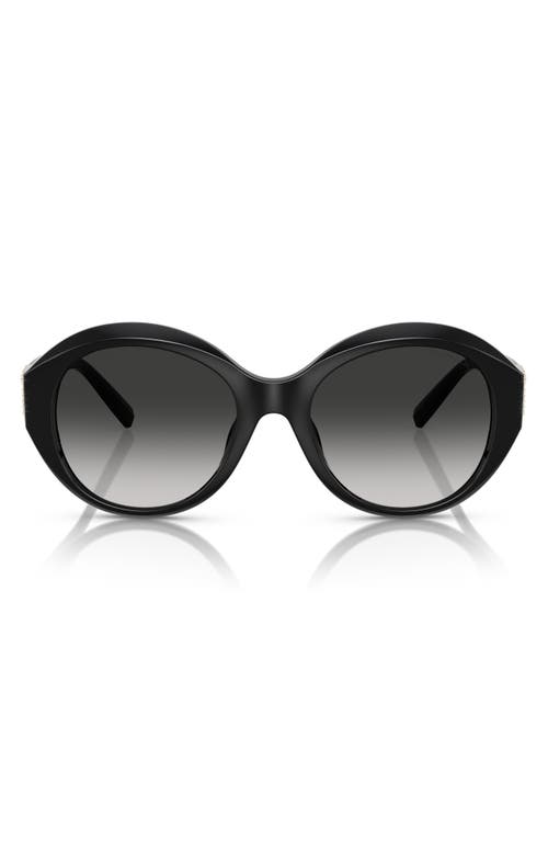Tiffany & Co . 53mm Gradient Round Sunglasses In Black