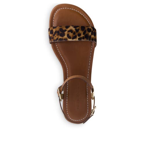 BERNARDO FOOTWEAR BERNARDO FOOTWEAR HENRE ANKLE STRAP SANDAL