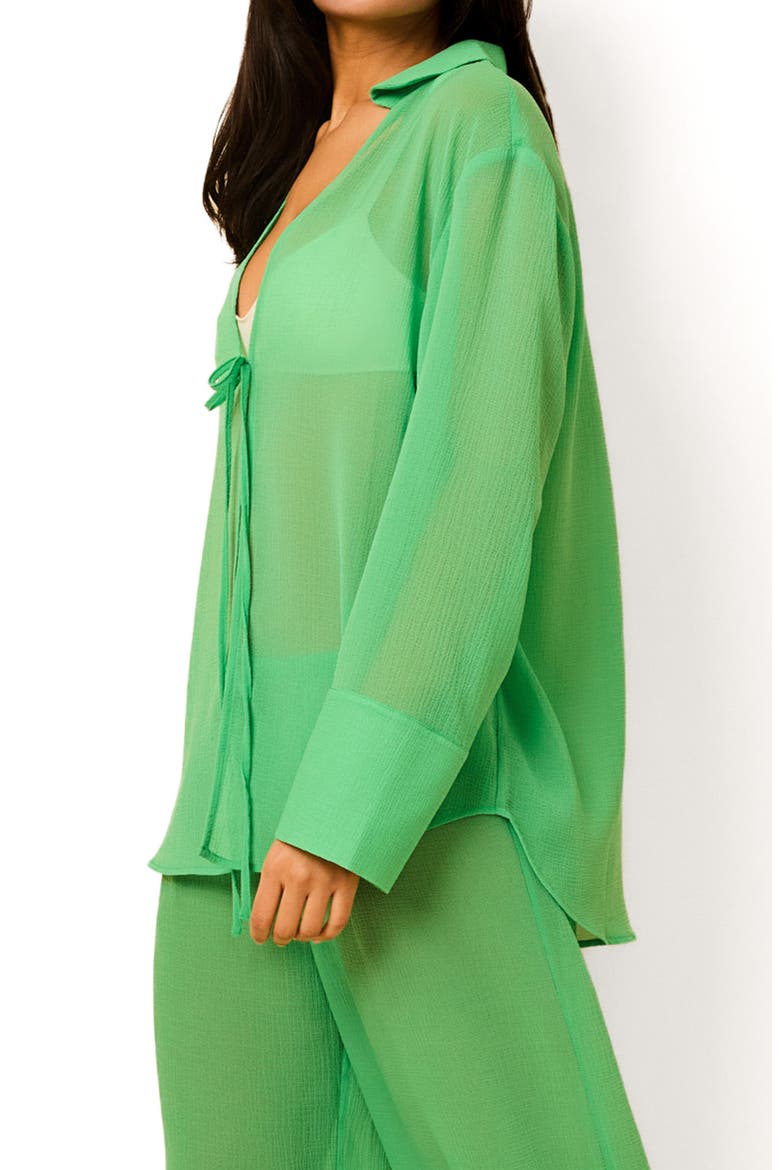 The Jaclyn Long Sleeve Sheer Cover-Up Tunic, Alternate, color, TURTLE GREEN