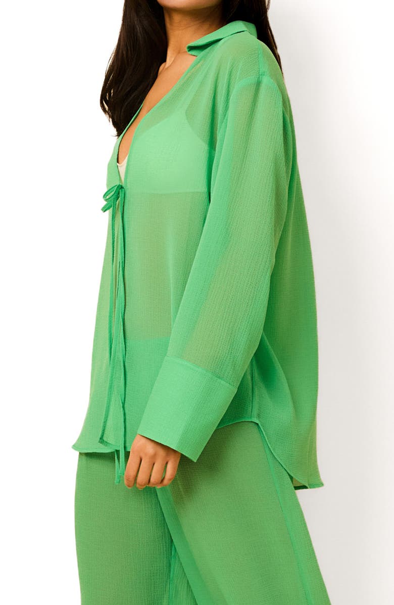 Solid & Striped The Jaclyn Long Sleeve Sheer Cover-Up Tunic, Alternate, color, Turtle Green