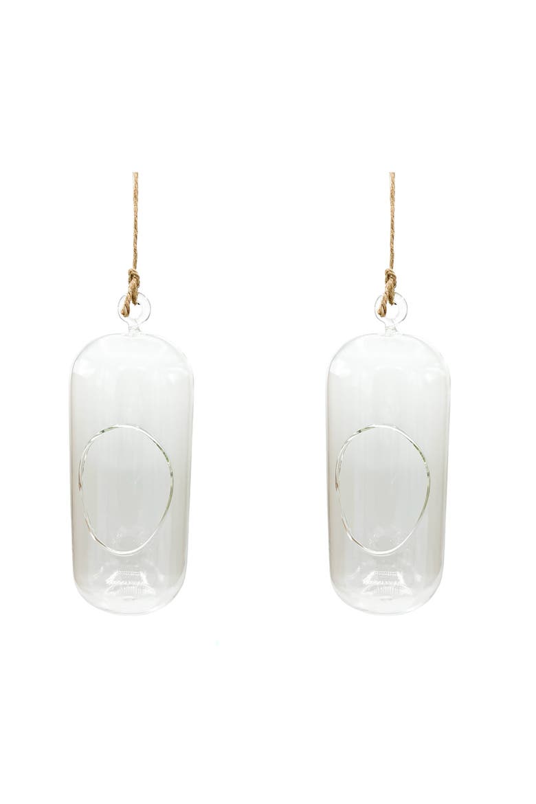 Carefree Capsule Glass Terrarium, 2 Pack, Main, color, Clear