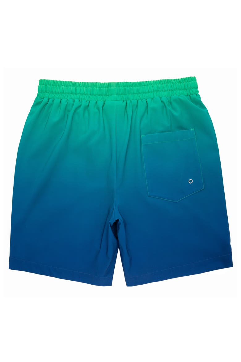Compression Liner Stretch Swim Trunks UPF 50+, Alternate, color, Emerald Bay