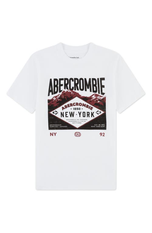 Abercrombie Kids Kids' Adirondacks Cotton Graphic T-shirt In White