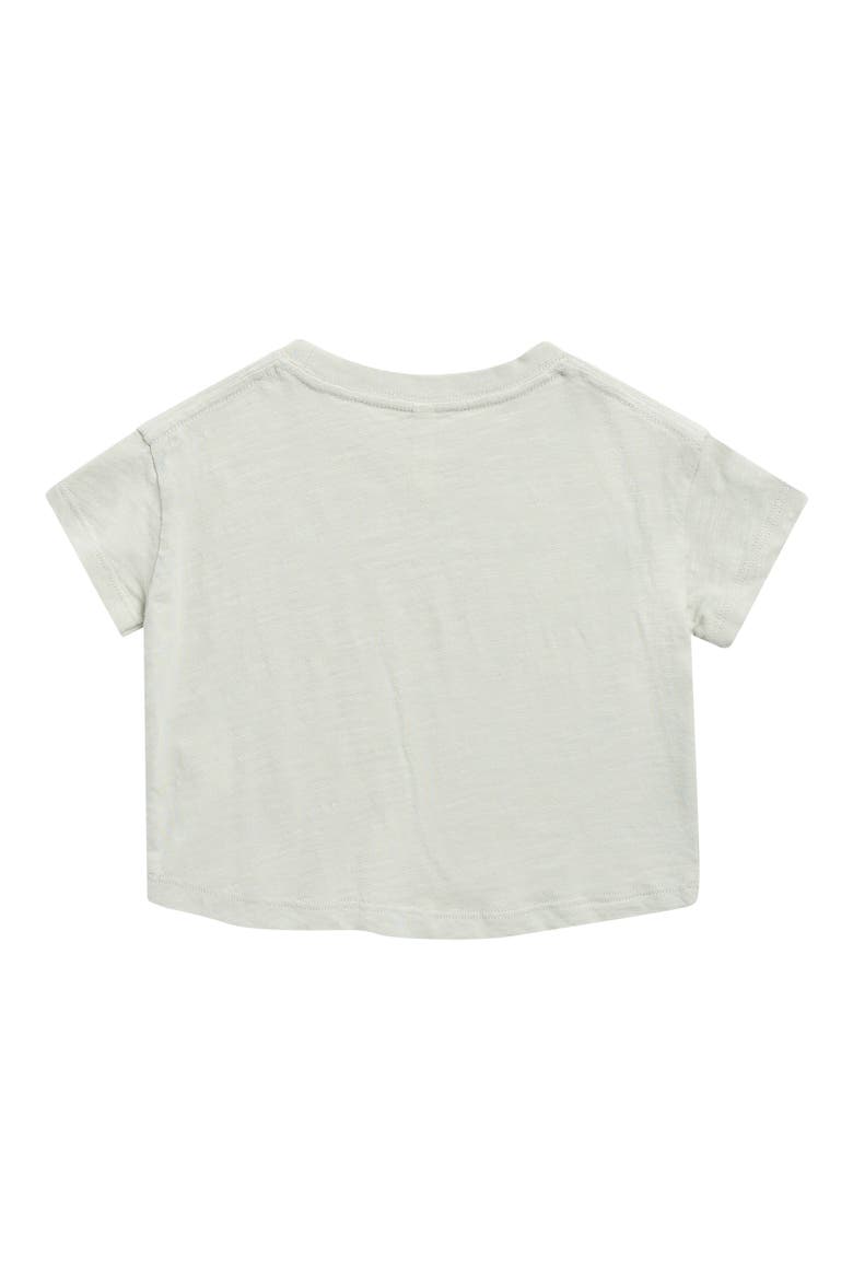 Seashells Cotton Graphic T-Shirt, Alternate, color, SEAFOAM