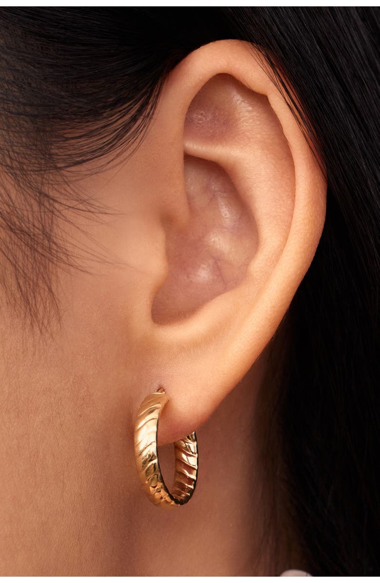 Oradina 14K Gold Cobra Hoops Earrings, Alternate, color, 