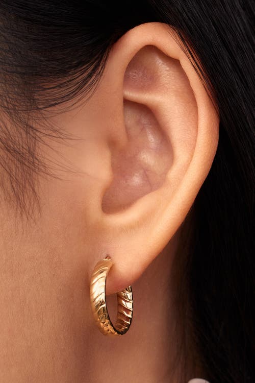 Oradina 14k Gold Cobra Hoops Earrings In Yellow Gold