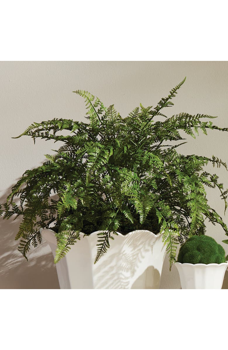 Napa Home & Garden Soft Fern Drop-In 18.5", Alternate, color, 