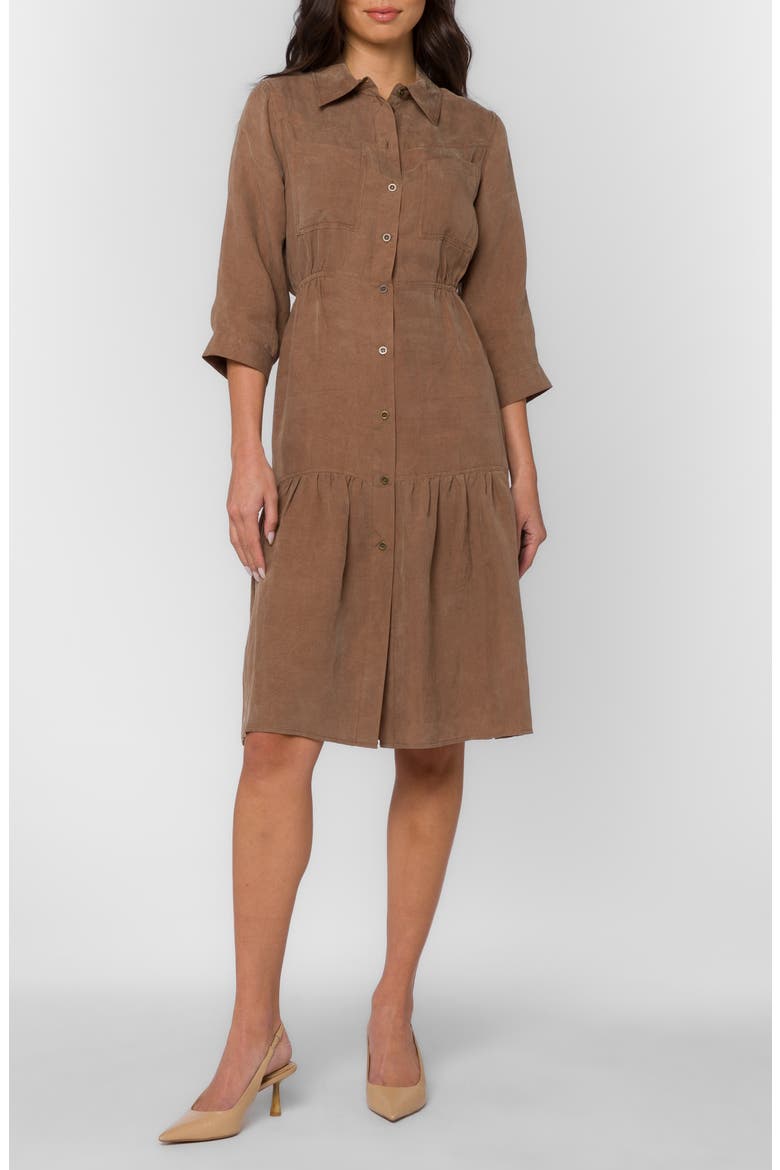 Western Shirtdress, Main, color, BROWN