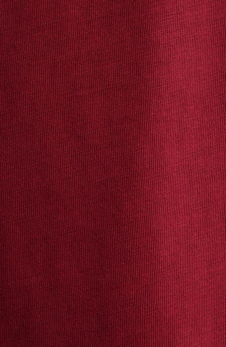 Polo Ralph Lauren Classic Fit Cotton Jersey Graphic T-Shirt, Alternate, color, Heritage Red