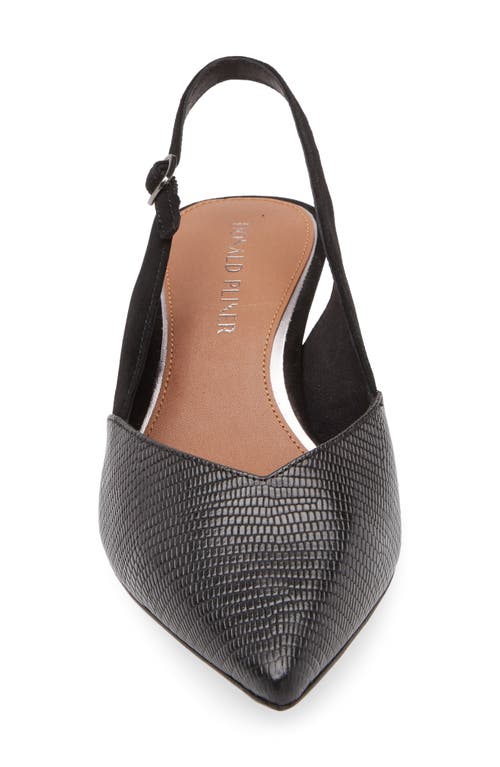 Shop Donald Pliner Sodashi Snakeskin Embossed Pointed Toe Slingback Pump In Black