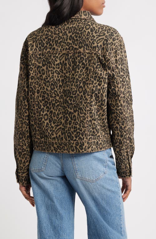 Ptcl Leopard Print Denim Trucker Jacket In Brown