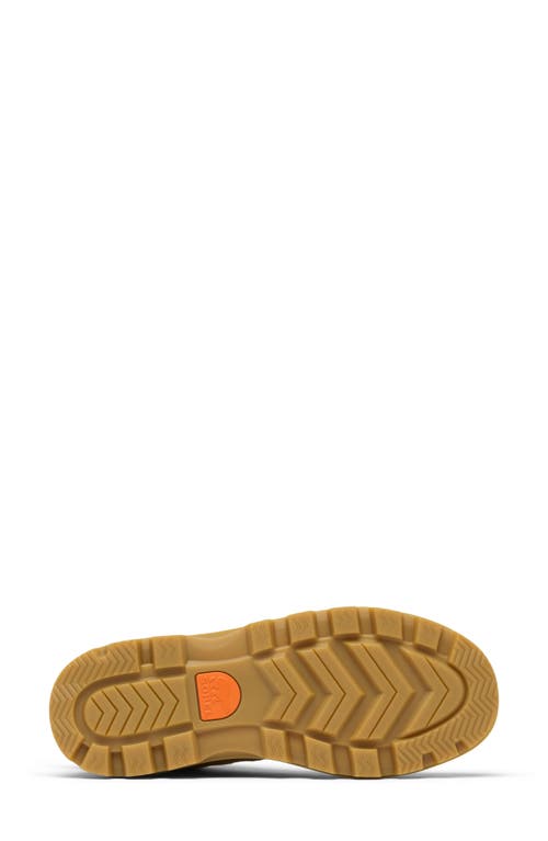 Sorel Scout N About™ Mid Sneaker In Caribou Buff/gum