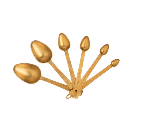 Gold Stainless Steel Measuring Spoons (Set of 6)