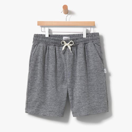 Feat Roam Shorts In Heathergray