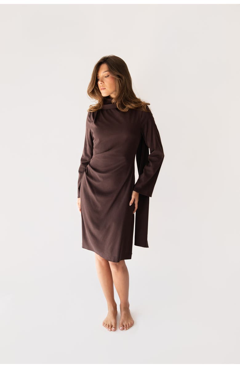 Shani x By Tess Johanna Dress, Main, color, Brown