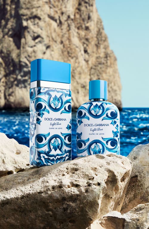 Dolce & Gabbana Dolce&gabbana Light Blue In No Color