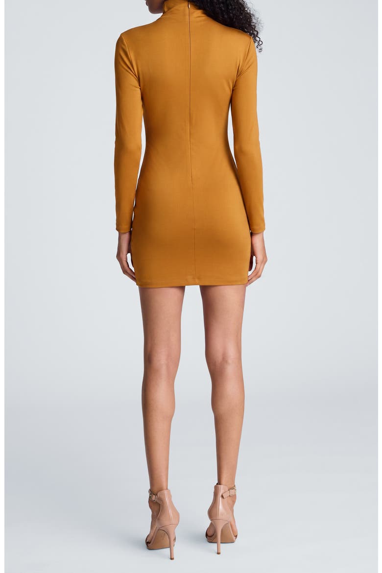 Pin Detail Long Sleeve Minidress, Alternate, color, MAPLE