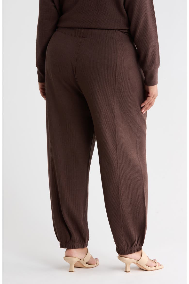 Organic Cotton & Tencel Lyocell Ankle Jogger Pants, Alternate, color, COFFEE