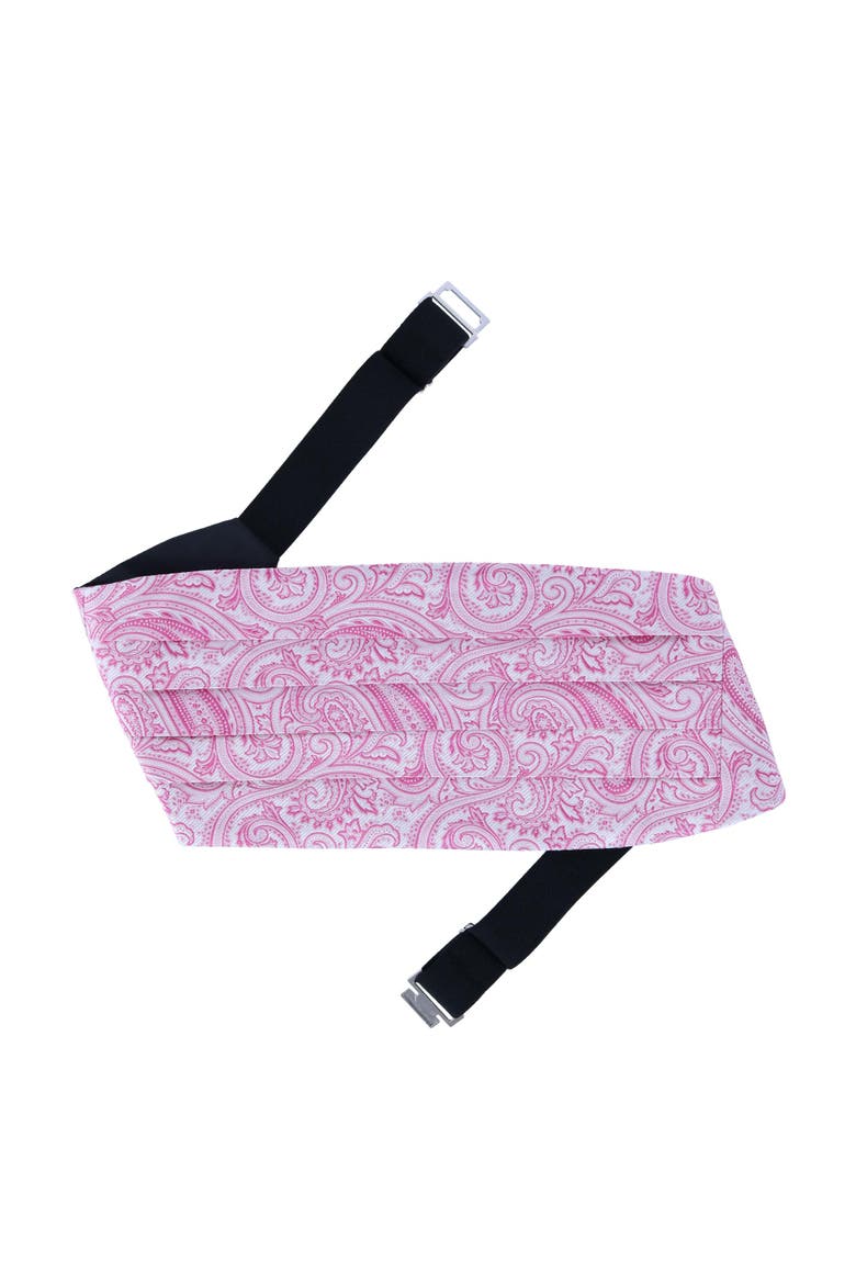 Sobee Paisley Silk Cummerbund, Alternate, color, Pink Paisley