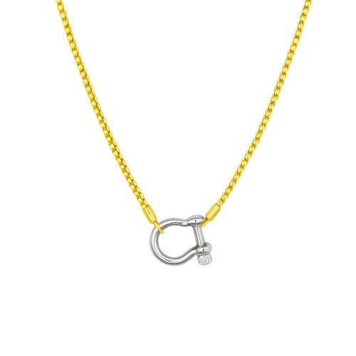 Hollywood Sensation Lucky Lock Carabiner Necklace Two Tone Mixed Metal Horseshoe Pendant Chain