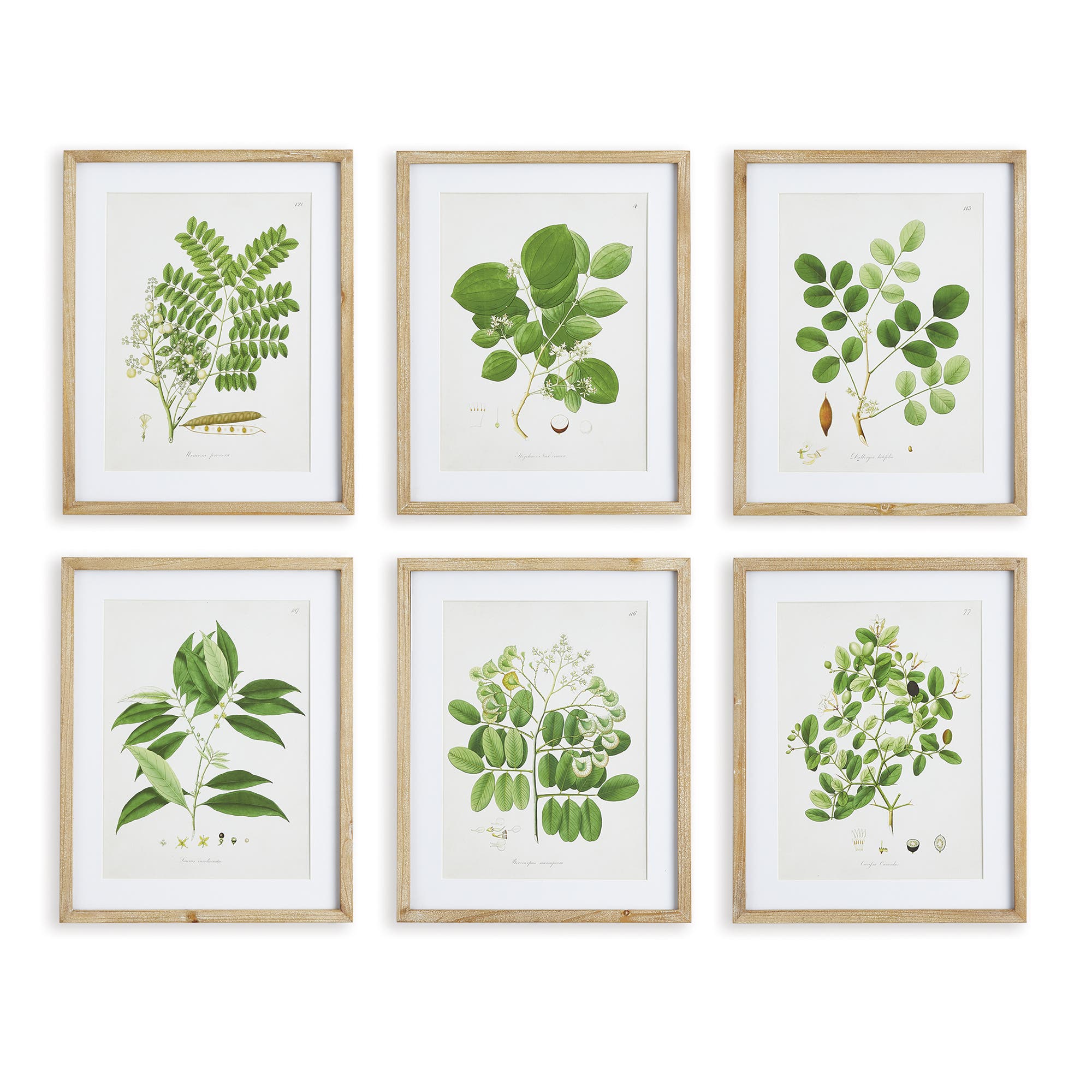 selected Green